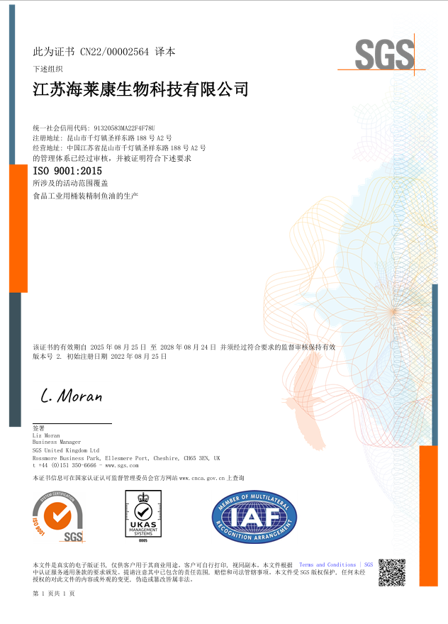 ISO9001中文版