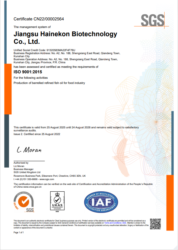 ISO9001 英文版