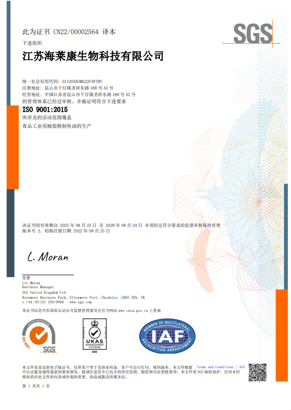 ISO9001中文版